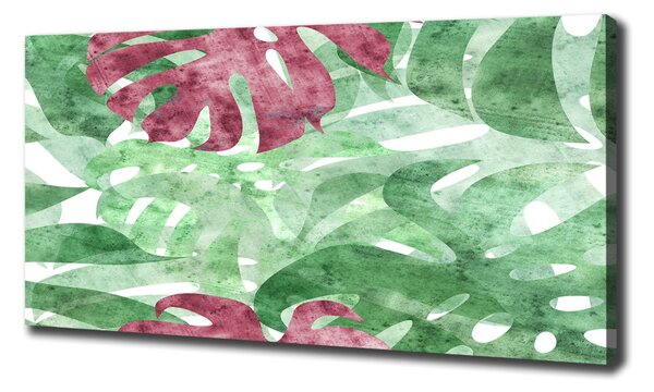 Moderní obraz canvas na rámu Monstera oc-124503126
