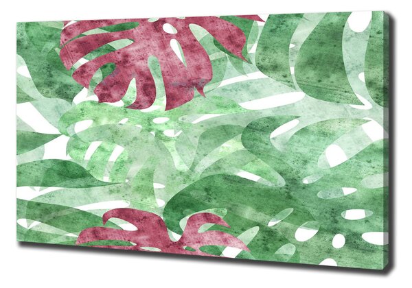 Moderní obraz canvas na rámu Monstera oc-124503126