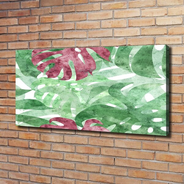 Moderní obraz canvas na rámu Monstera oc-124503126