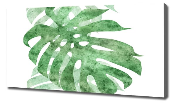 Foto obraz na plátně do obýváku Monstera oc-124503131