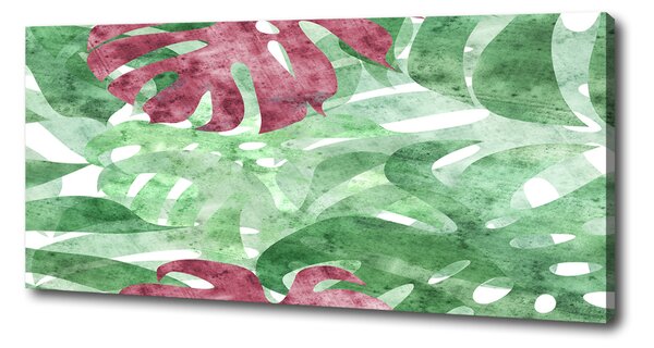 Moderní obraz canvas na rámu Monstera oc-124503126
