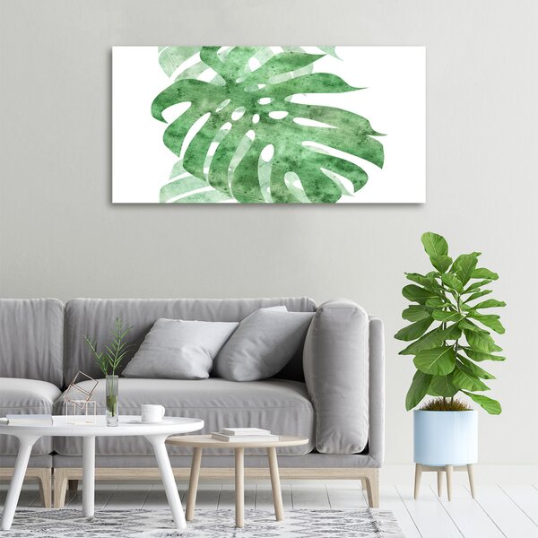 Foto obraz na plátně do obýváku Monstera oc-124503131