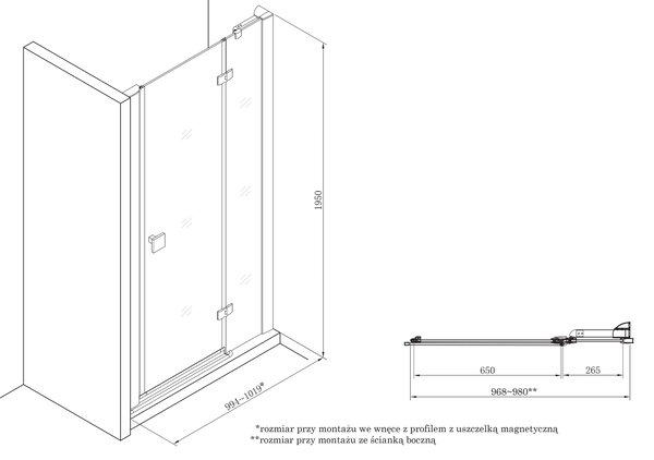 Roca Metropolis sprchové dveře 100 cm sklopné chrom lesk/průhledné sklo AMP3410012M