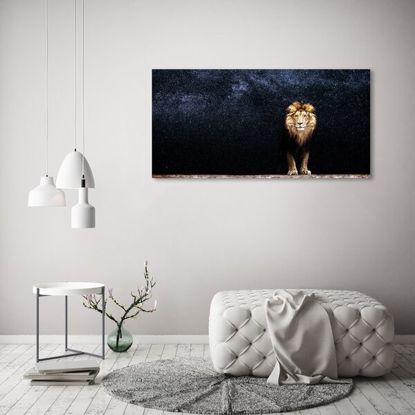 Foto obraz canvas Lev na pozadí hvězd oc-125106847