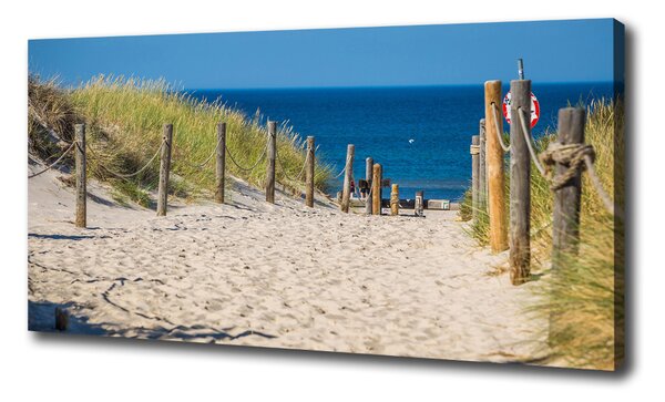 Foto obraz na plátně Mořské duny oc-125318135