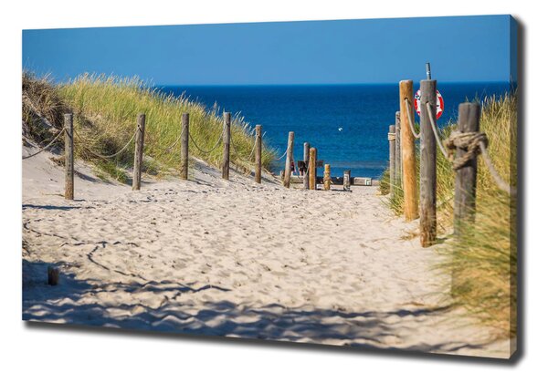 Foto obraz na plátně Mořské duny oc-125318135