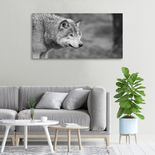 Foto obraz canvas Šedý vlk oc-125421387