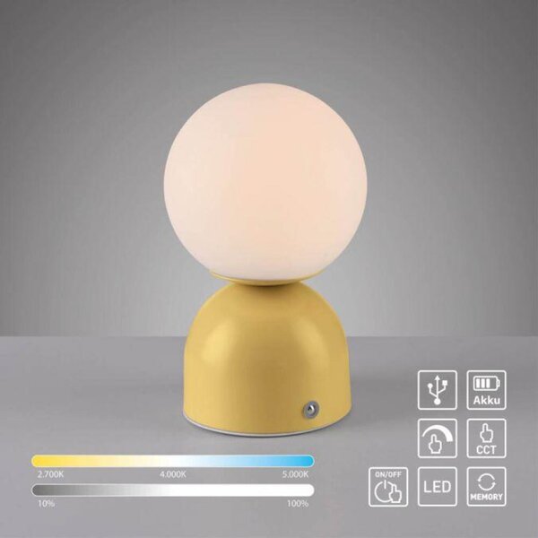 PAUL NEUHAUS JUST LIGHT Kolekce Schöner Wohnen LED bateriové stolní svítidlo RUDI, inspirováno květy, USB 3000-6000K