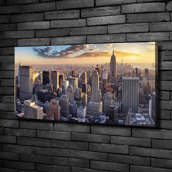 Foto obraz na plátně New York ptačí pohled oc-126216157