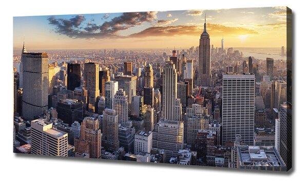 Foto obraz na plátně New York ptačí pohled oc-126216157