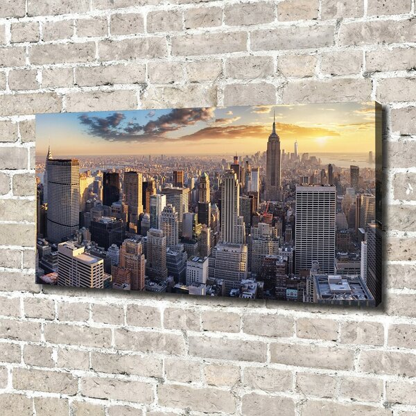Foto obraz na plátně New York ptačí pohled oc-126216157
