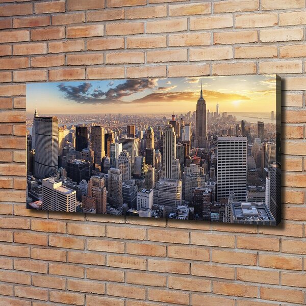 Foto obraz na plátně New York ptačí pohled oc-126216157
