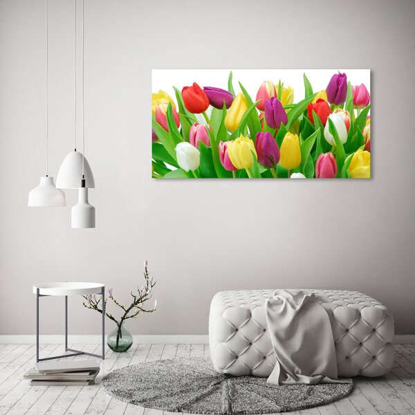 Moderní obraz canvas na rámu Barevné tulipány oc-12652067