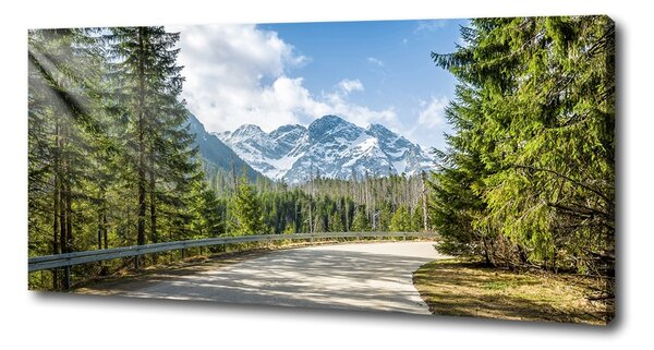 Foto obraz na plátně Cesta Tatry oc-129408685