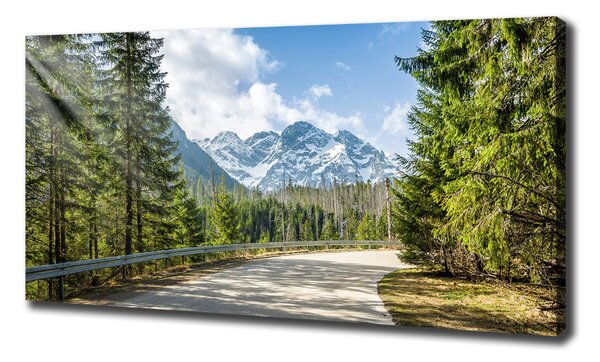 Foto obraz na plátně Cesta Tatry oc-129408685