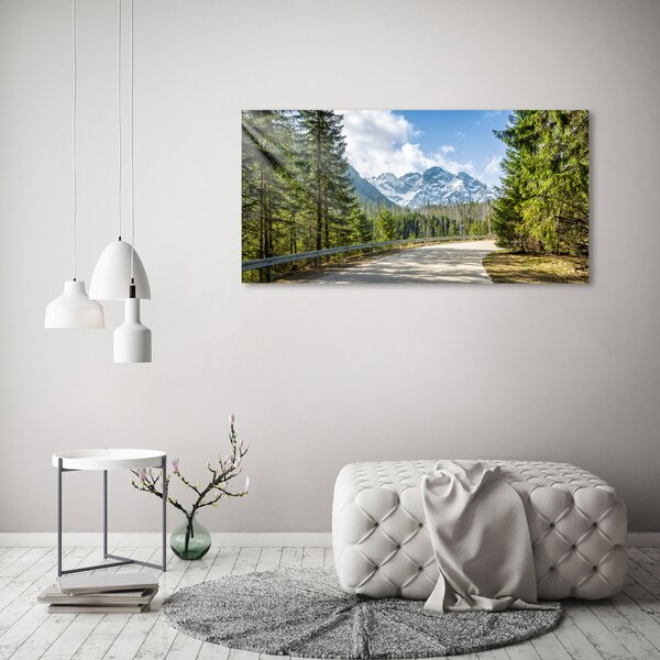 Foto obraz fotografie na skle Cesta Tatry osh-129408685