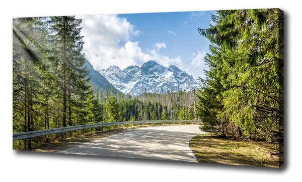 Foto obraz na plátně Cesta Tatry oc-129408685