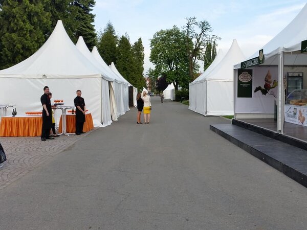 TENTino Pagoda 5x5 m Varianta: BAZAROVÁ