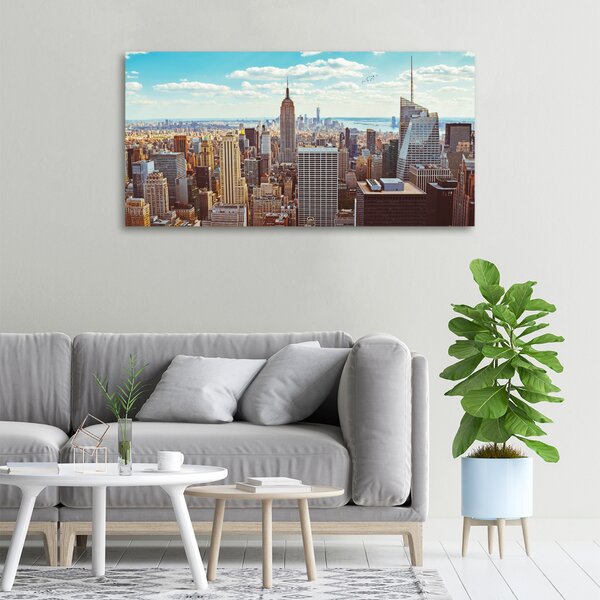 Foto obraz na plátně New York ptačí pohled oc-133162590