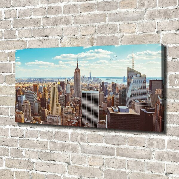Foto obraz na plátně New York ptačí pohled oc-133162590
