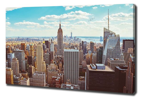 Foto obraz na plátně New York ptačí pohled oc-133162590