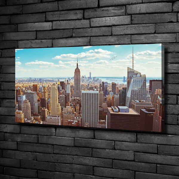 Foto obraz na plátně New York ptačí pohled oc-133162590