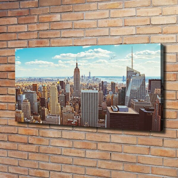 Foto obraz na plátně New York ptačí pohled oc-133162590