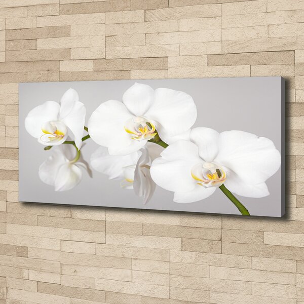 Foto obraz canvas Orchidej oc-133396361
