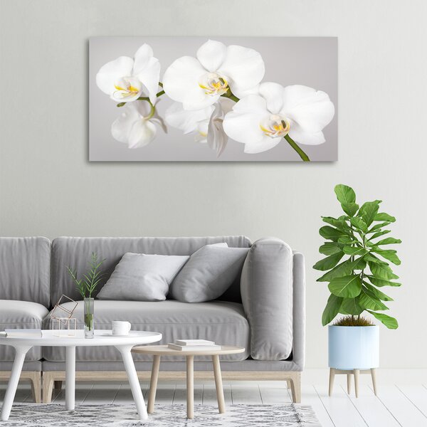 Foto obraz canvas Orchidej oc-133396361