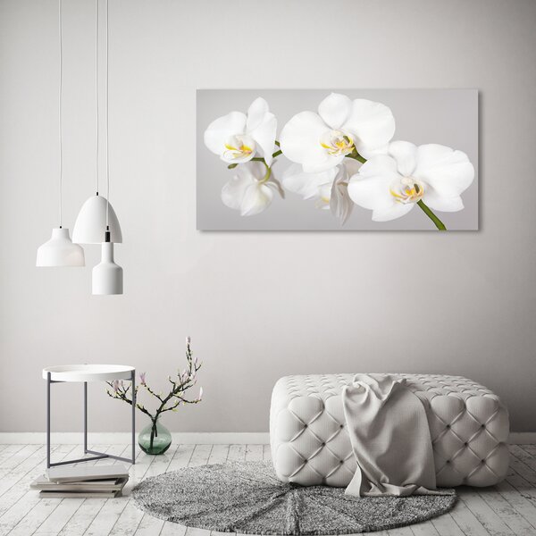 Foto obraz canvas Orchidej oc-133396361