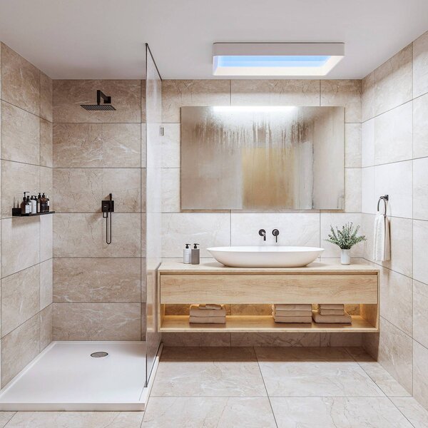 Philips LED stropní svítidlo SKYLIGHT, 65 x 45 cm, bílé, IP44, stmívatelný, Bílá / opál, Obývací pokoj / jídelna, Plast, Moderní