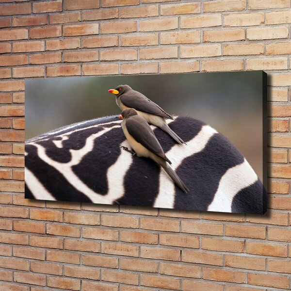 Foto obraz canvas Ptáci a zebra oc-133933149