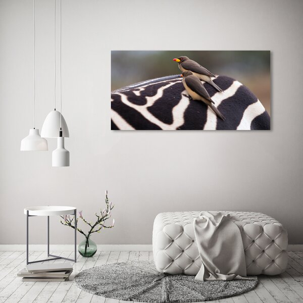 Foto obraz canvas Ptáci a zebra oc-133933149
