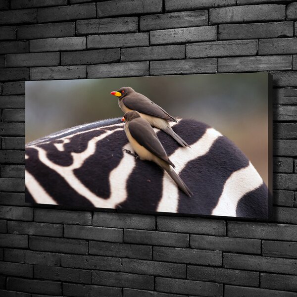 Foto obraz canvas Ptáci a zebra oc-133933149