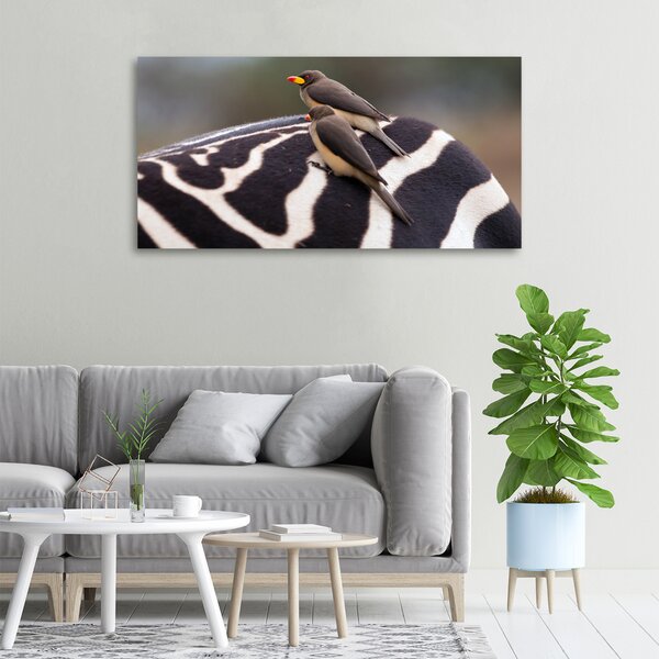 Foto obraz canvas Ptáci a zebra oc-133933149