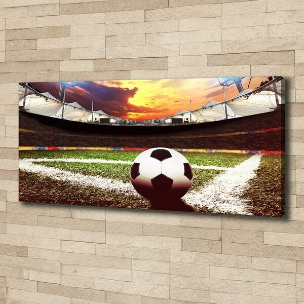 Foto obraz na plátně Míč na stadioně oc-135101268