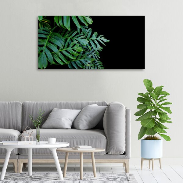 Foto-obraz canvas do obýváku Monstera oc-136056099