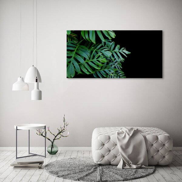 Foto-obraz canvas do obýváku Monstera oc-136056099