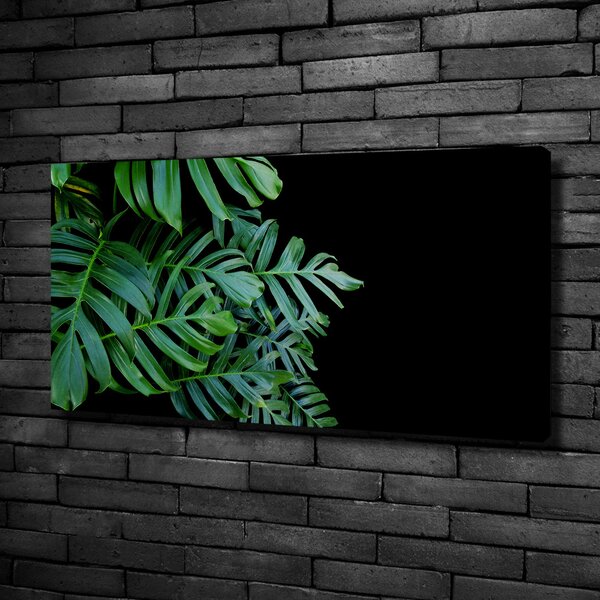 Foto-obraz canvas do obýváku Monstera oc-136056099