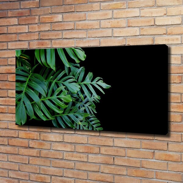 Foto-obraz canvas do obýváku Monstera oc-136056099