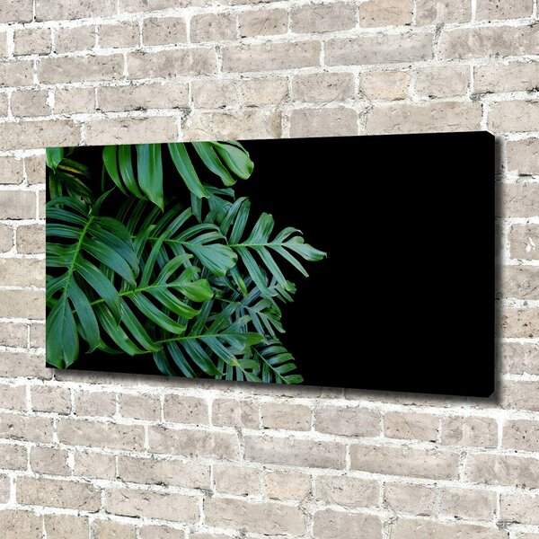 Foto-obraz canvas do obýváku Monstera oc-136056099