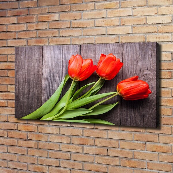 Foto obraz na plátně Červené tulipány oc-137777387