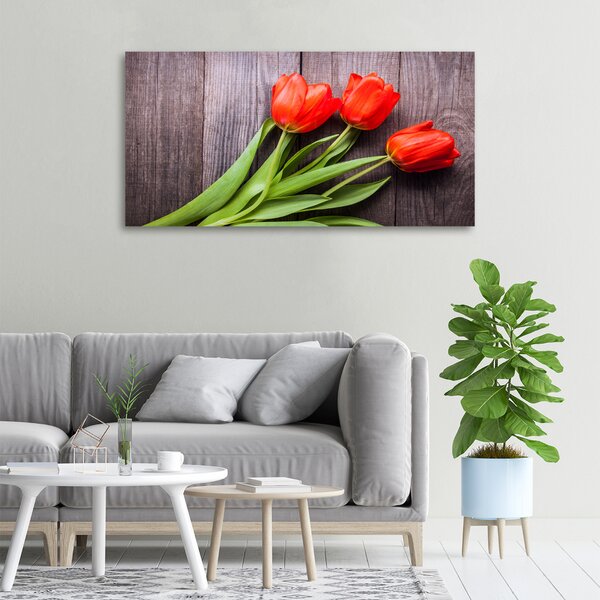 Foto obraz na plátně Červené tulipány oc-137777387