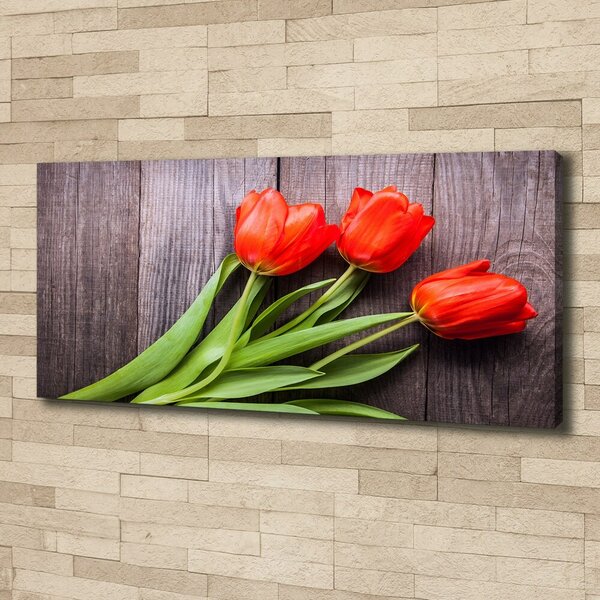 Foto obraz na plátně Červené tulipány oc-137777387