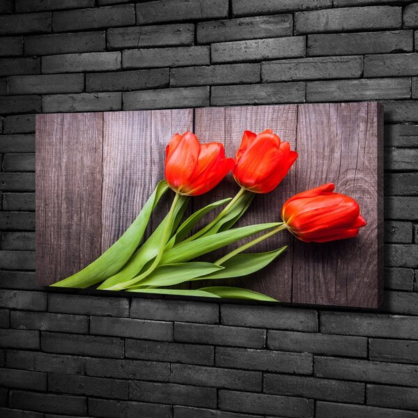 Foto obraz na plátně Červené tulipány oc-137777387