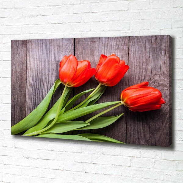 Foto obraz na plátně Červené tulipány oc-137777387