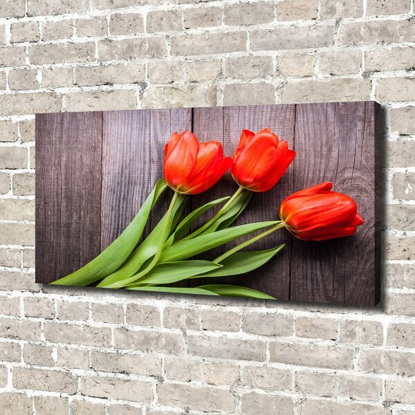Foto obraz na plátně Červené tulipány oc-137777387