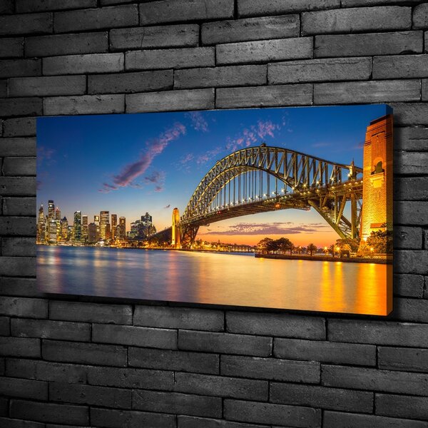 Moderní obraz canvas na rámu Panorama Sydney oc-138664692
