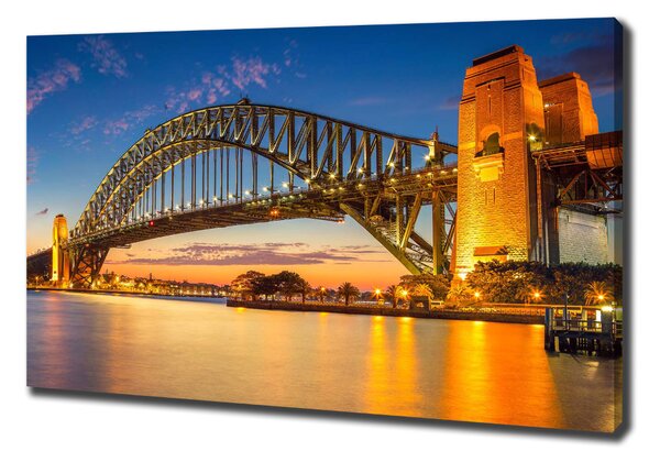 Moderní obraz canvas na rámu Panorama Sydney oc-138664692