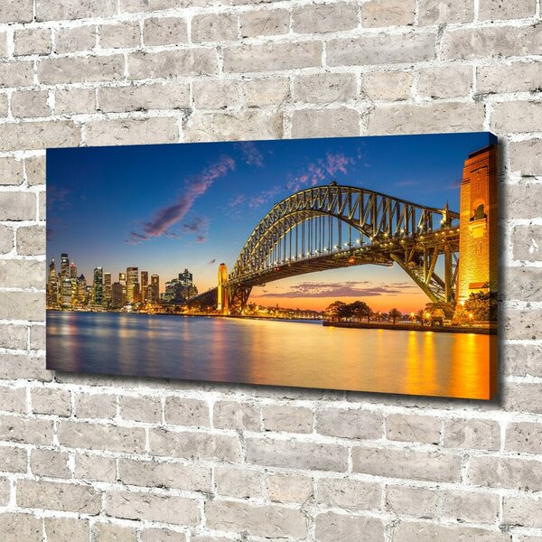 Moderní obraz canvas na rámu Panorama Sydney oc-138664692